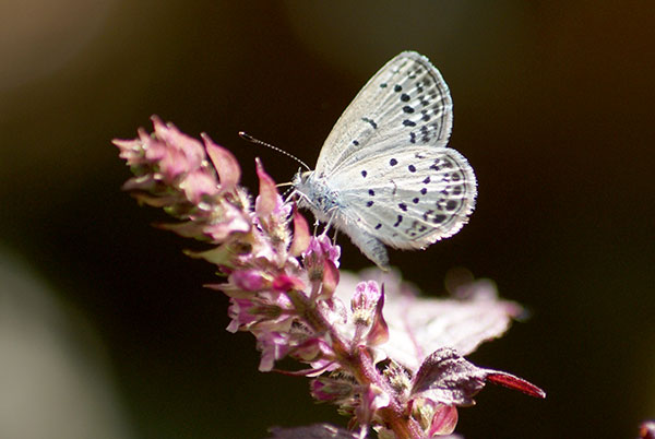 c0184125_13280140.jpg