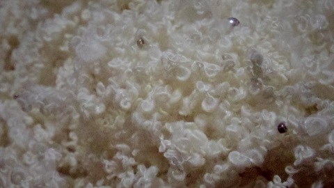 e0311225_2021545.jpg