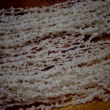e0311225_2022018.jpg