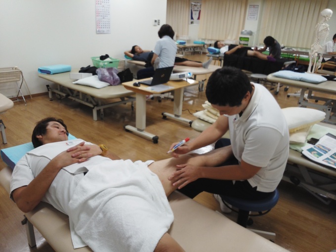 第17回 体表解剖勉強会【薄筋】_b0329026_20282189.jpg