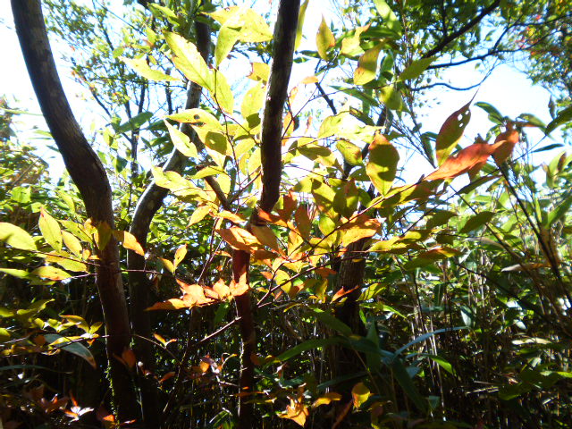 a0220528_23161144.jpg