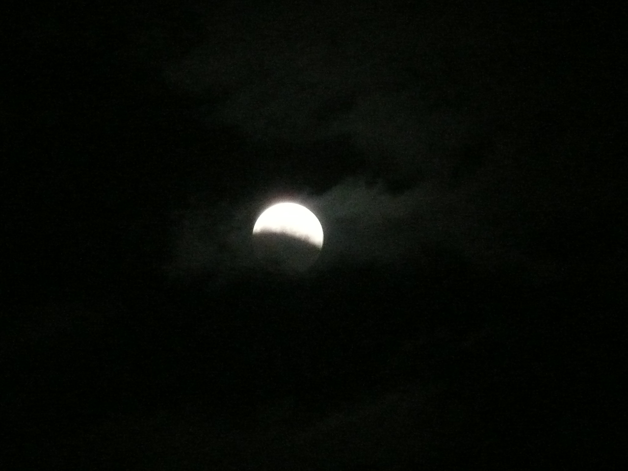 c0009528_23075735.jpg