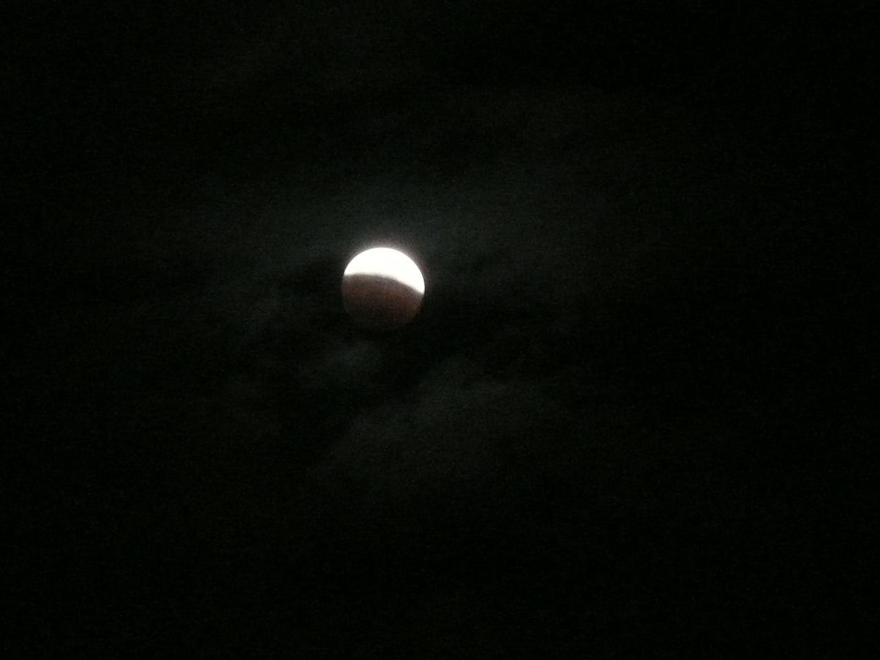 c0009528_23081095.jpg