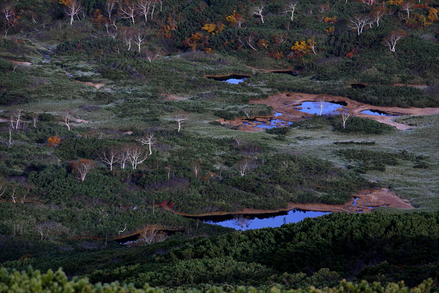 北海道 大雪山 黒岳 旭岳 ・十勝連峰 十勝岳 登山 ＆ 紅葉撮影行_d0106628_08245815.jpg