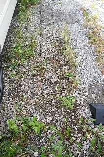 10/9_b0320131_00130411.jpg