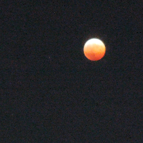 b0237234_14501439.png