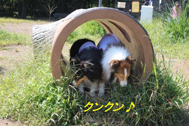浜名湖が見たい!の旅_e0195743_15165632.jpg
