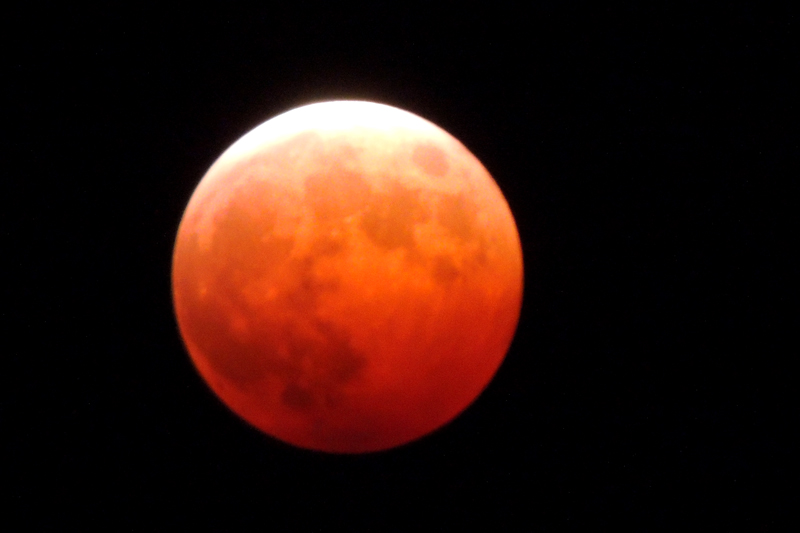 b0016545_413542.jpg