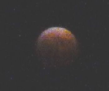 b0131046_91423.jpg