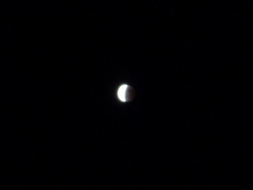 f0207146_5584330.jpg