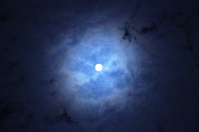 14夜_d0179447_1551523.jpg