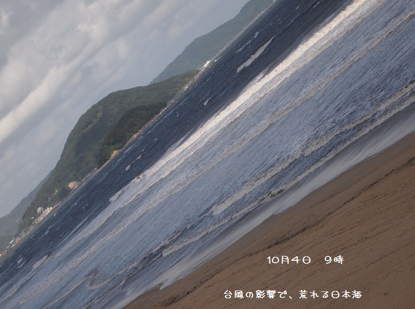 f0224347_94134.jpg