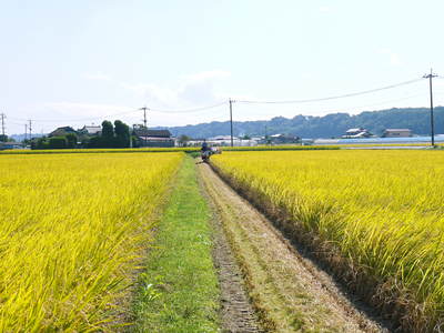 a0254656_18313677.jpg