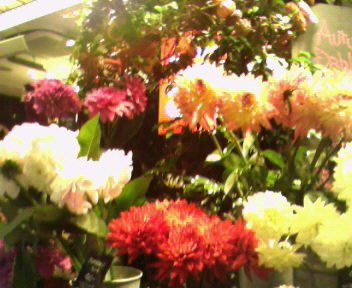 b0105259_20544227.jpg