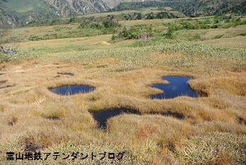 10月8日の弥陀ヶ原高原の様子_a0243562_09445929.jpg