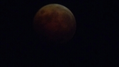 a0271962_342645.jpg