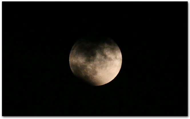 e0031562_11415540.jpg