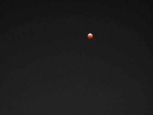 f0256164_10335254.jpg