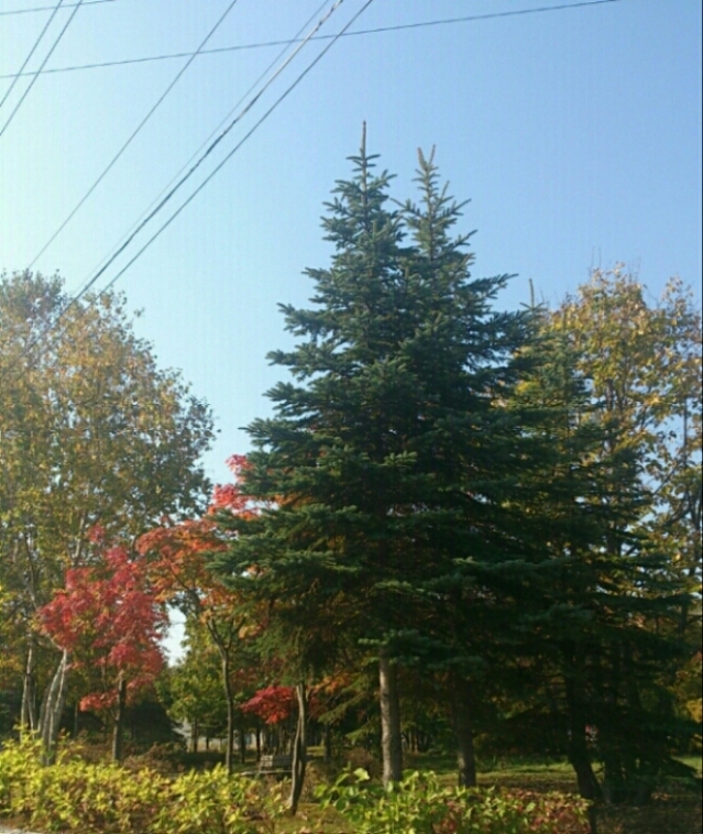 c0311170_9523593.jpg
