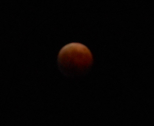赤い月を見た_e0175370_8543360.jpg