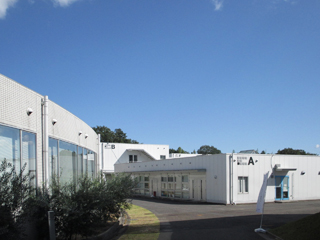 c0165372_11164180.jpg