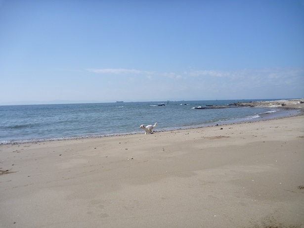 e0161972_1724534.jpg