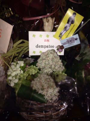 dempatoo_e0334374_1044092.jpg