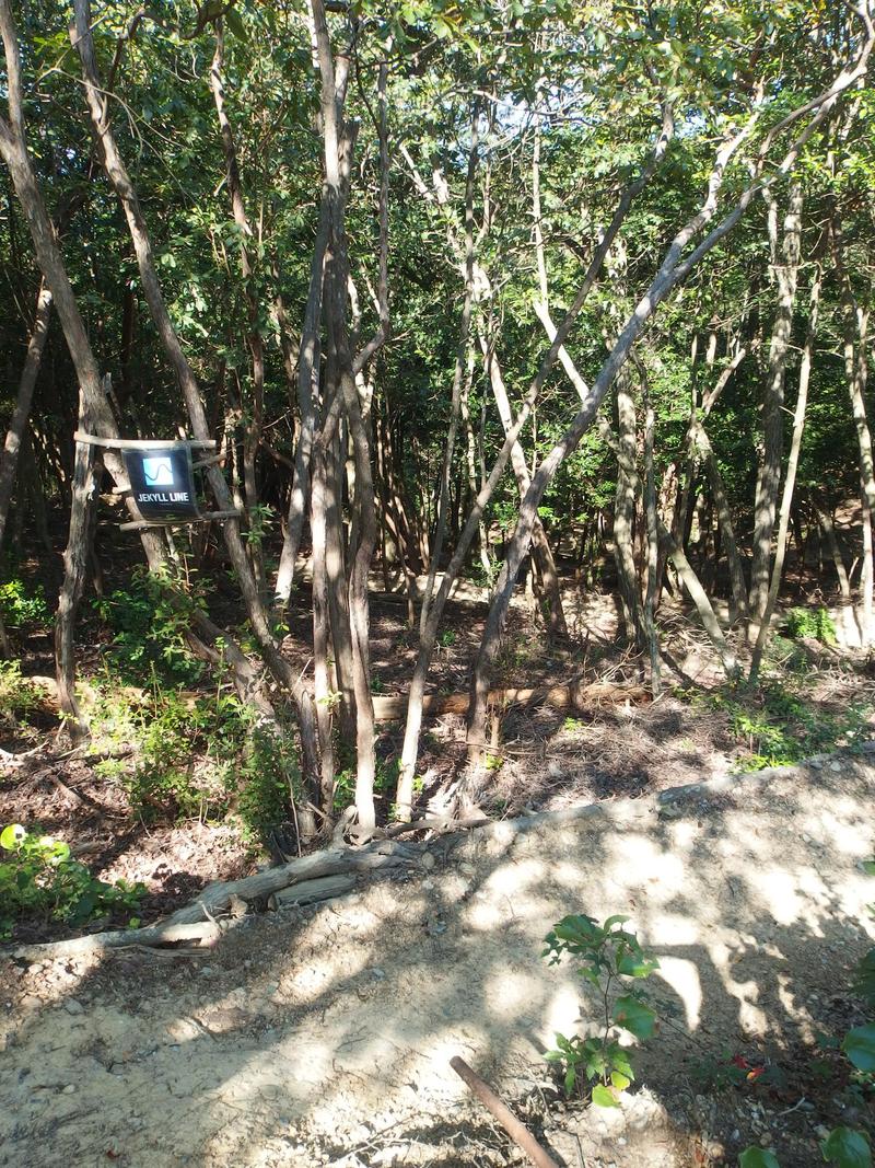c0177576_23152428.jpg