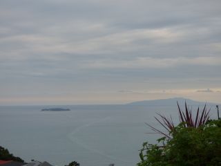 2014年10月9日 アヒル足_b0098584_18381135.jpg