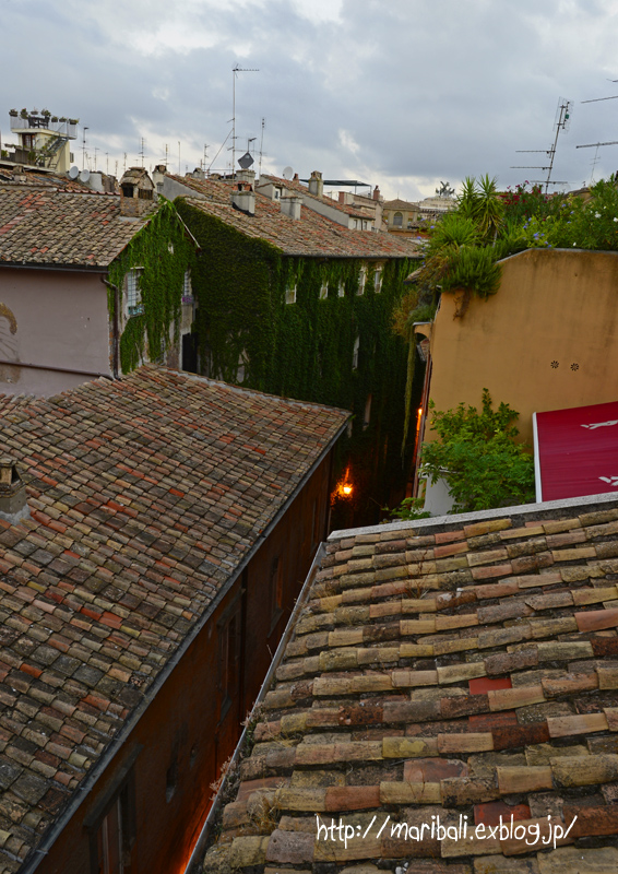 b0154385_14531316.jpg