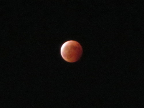 a0251786_13463065.jpg