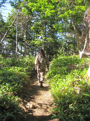 c0171889_10121348.jpg