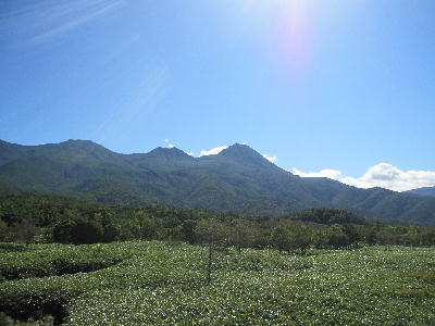 c0171889_10165896.jpg
