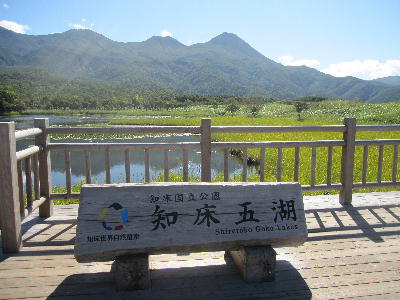 c0171889_10174054.jpg