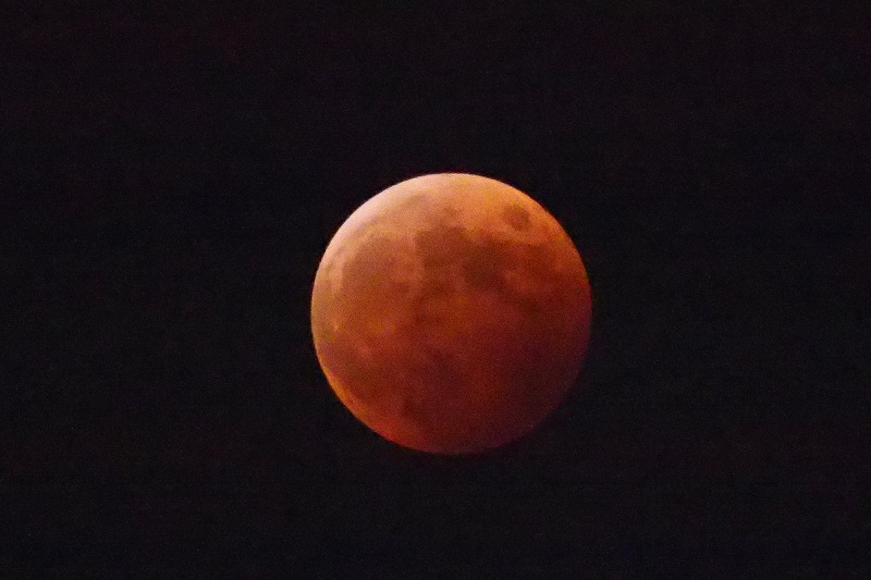 a0293295_8194974.jpg