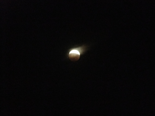 b0207496_16115342.jpg