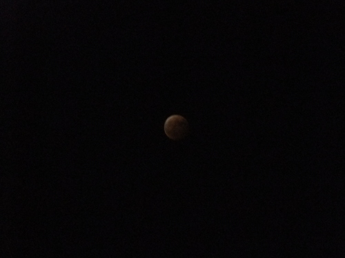 b0207496_16140176.jpg
