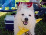 d0027698_10512775.png