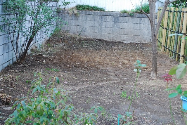 e0025300_20202790.jpg