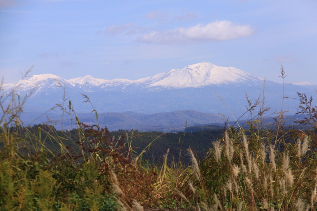 d0248502_001941.jpg