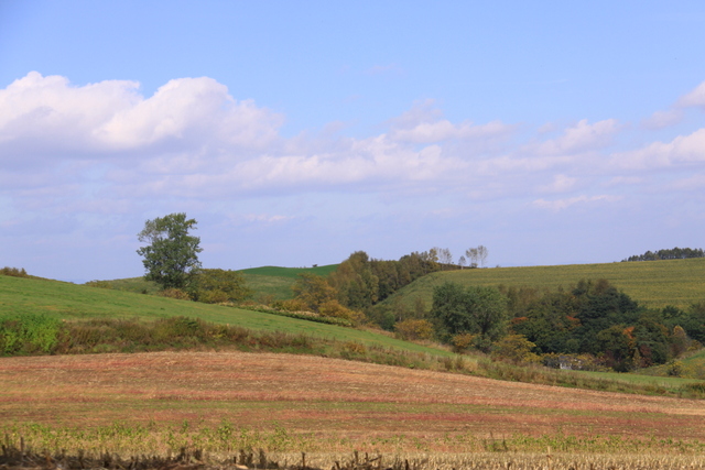 d0248502_1424542.jpg