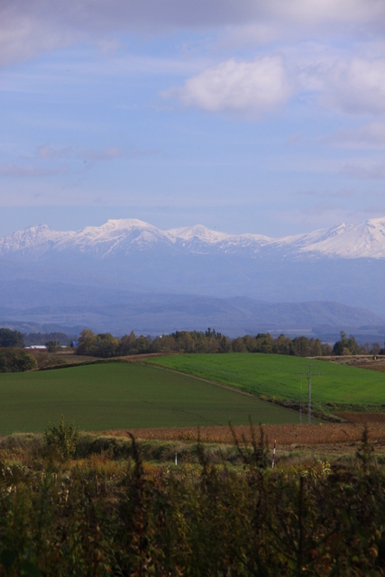 d0248502_1444235.jpg