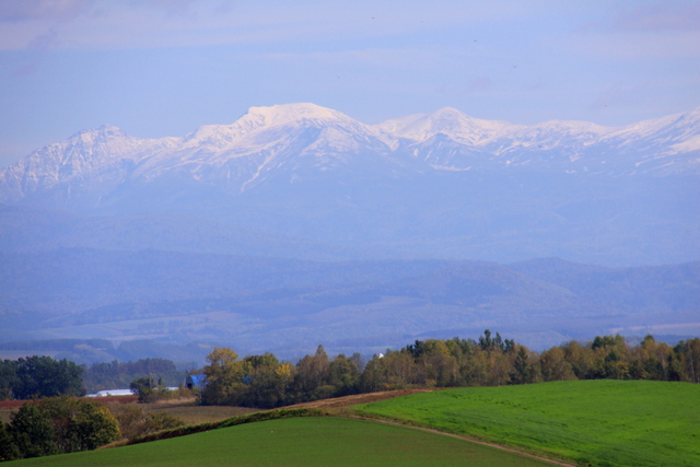 d0248502_144613.jpg
