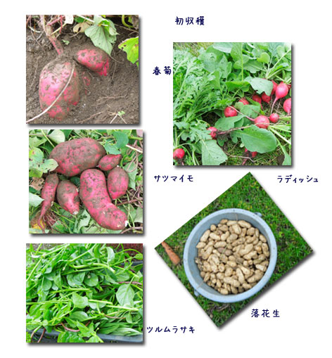 日々の事_c0051105_21304761.jpg