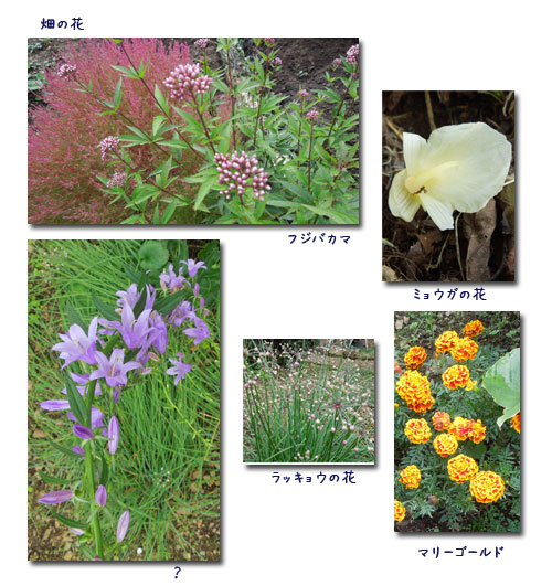 日々の事_c0051105_21371312.jpg