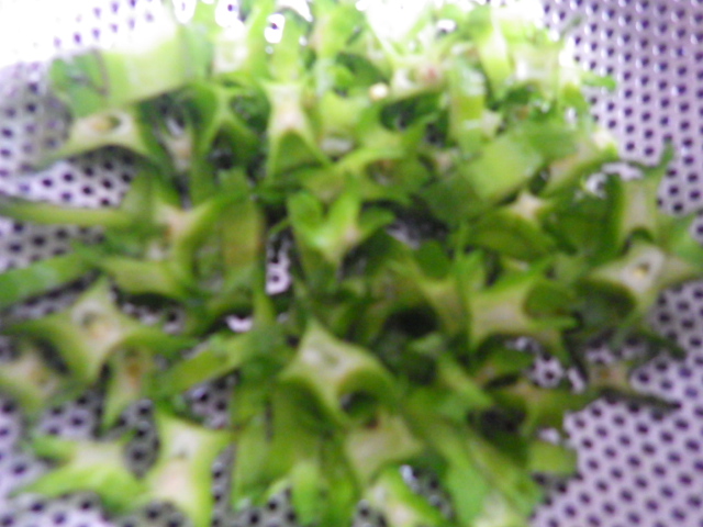 c0280206_943528.jpg