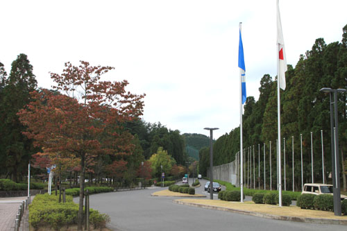 e0048413_2050926.jpg