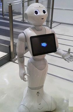 我輩もペッパーが欲しいのだ_e0234016_2111832.jpg
