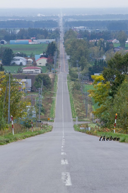 c0314722_23134594.jpg