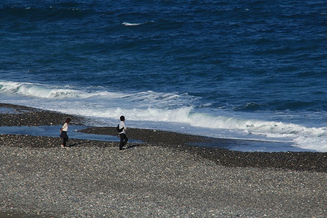 三輪崎海岸、散策　（その1）_e0321325_17312325.jpg